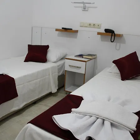 Hotel Aelbistan