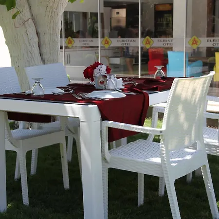 Hotel Aelbistan 2*