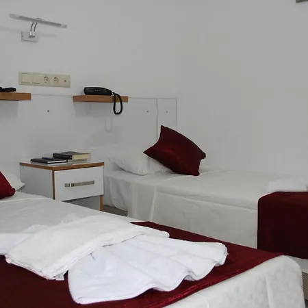 Hotel Aelbistan