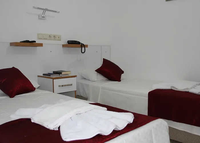 Отель Aelbistan 2*