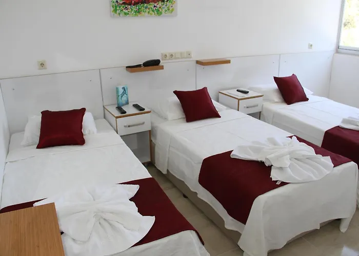 Отель Aelbistan Дидим