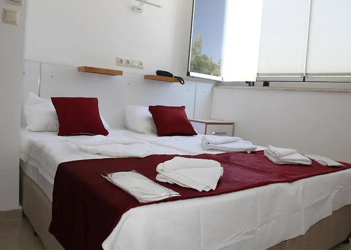 Aelbistan Дидим