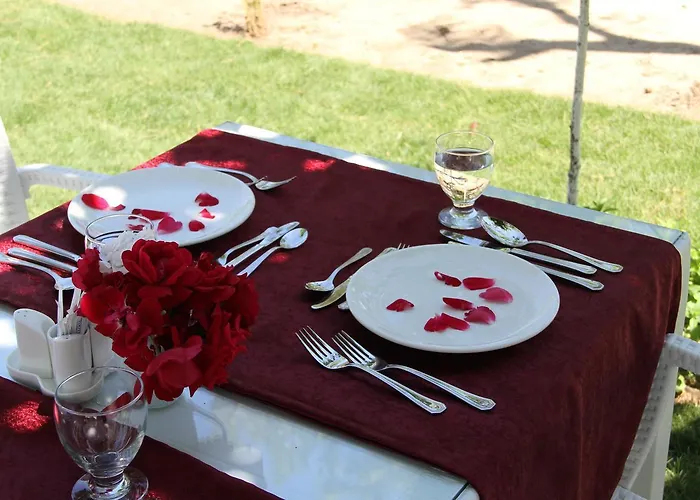 Aelbistan Отель