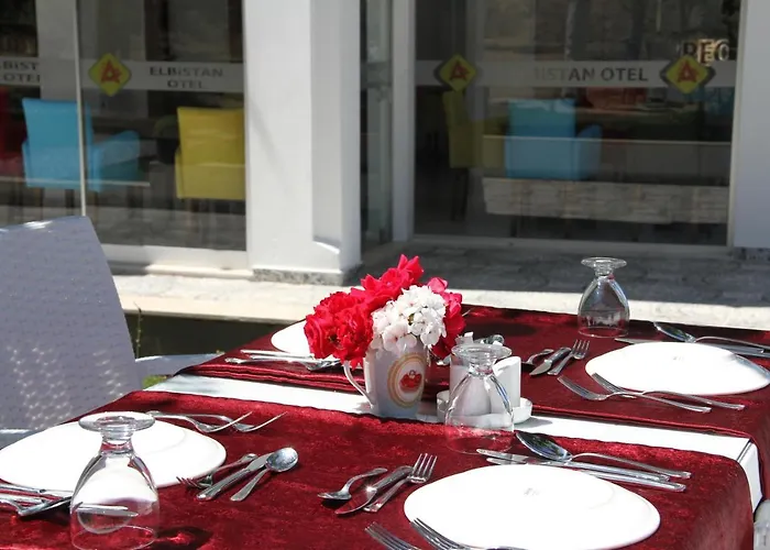 Отель Aelbistan